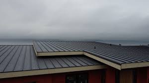 Best Metal Roofing Installation  in Haubstadt, IN